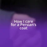 How I care for a Persian’s coat