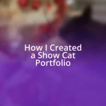 How I Created a Show Cat Portfolio