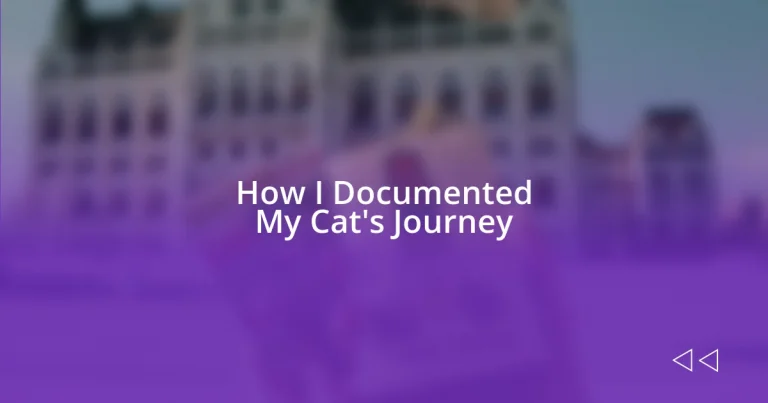 How I Documented My Cat’s Journey