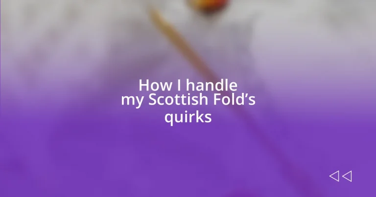 How I handle my Scottish Fold’s quirks