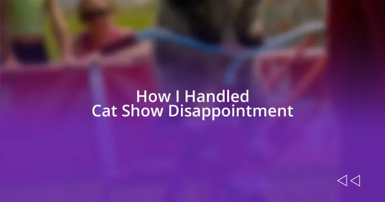 How I Handled Cat Show Disappointment