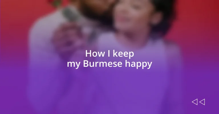 How I keep my Burmese happy