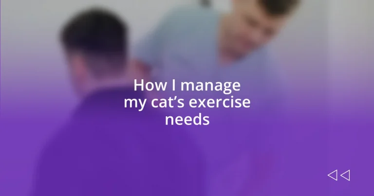 How I manage my cat’s exercise needs