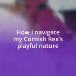 How I navigate my Cornish Rex’s playful nature