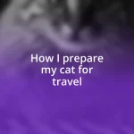 How I prepare my cat for travel