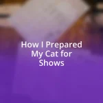 How I Prepared My Cat for Shows