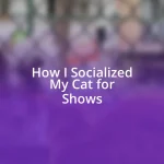 How I Socialized My Cat for Shows