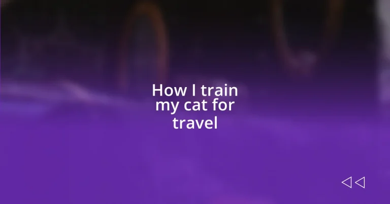 How I train my cat for travel