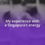 My experience with a Singapura’s energy