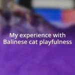 My experience with Balinese cat playfulness