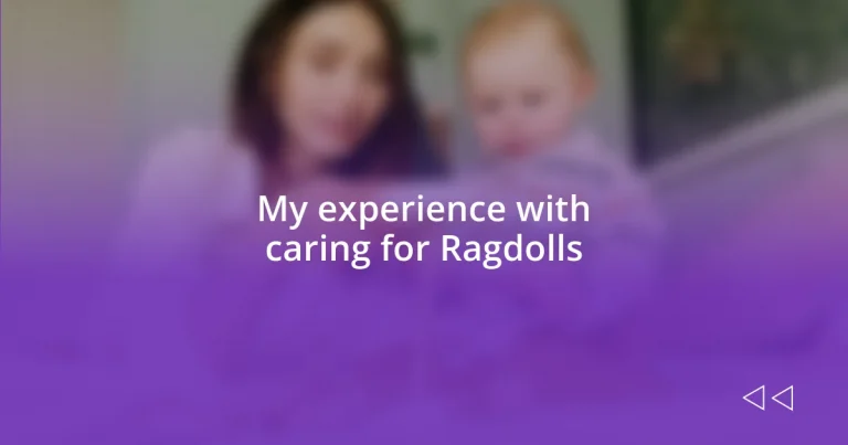 My experience with caring for Ragdolls