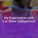 My Experiences with Cat Show Competitors