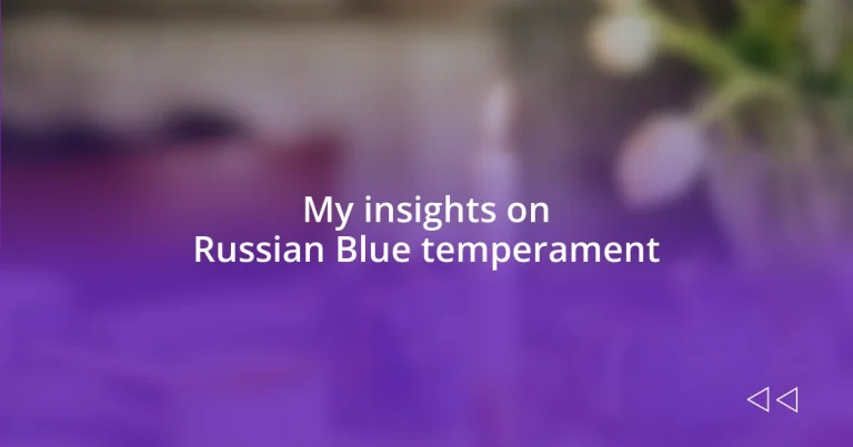 My insights on Russian Blue temperament