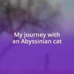 My journey with an Abyssinian cat