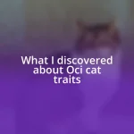 What I discovered about Oci cat traits