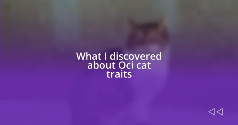 What I discovered about Oci cat traits