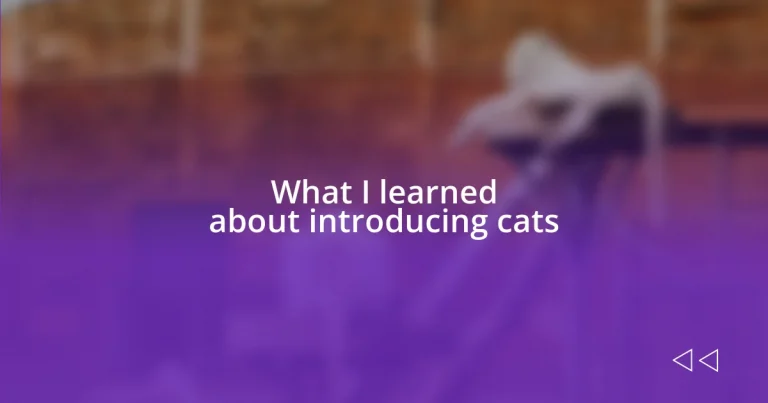 What I learned about introducing cats