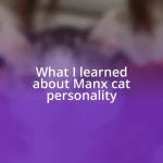 What I learned about Manx cat personality