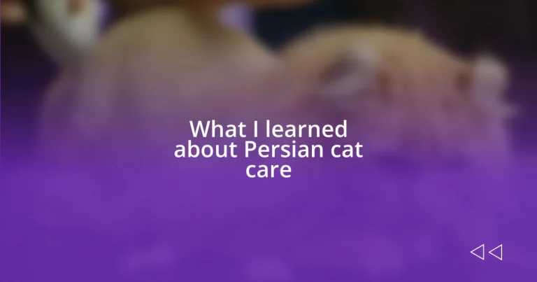 What I learned about Persian cat care