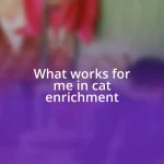 What works for me in cat enrichment