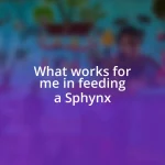 What works for me in feeding a Sphynx