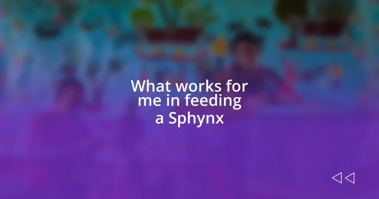 What works for me in feeding a Sphynx