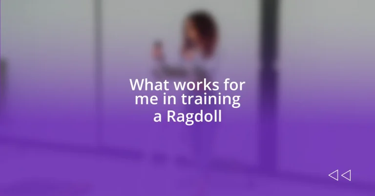 What works for me in training a Ragdoll