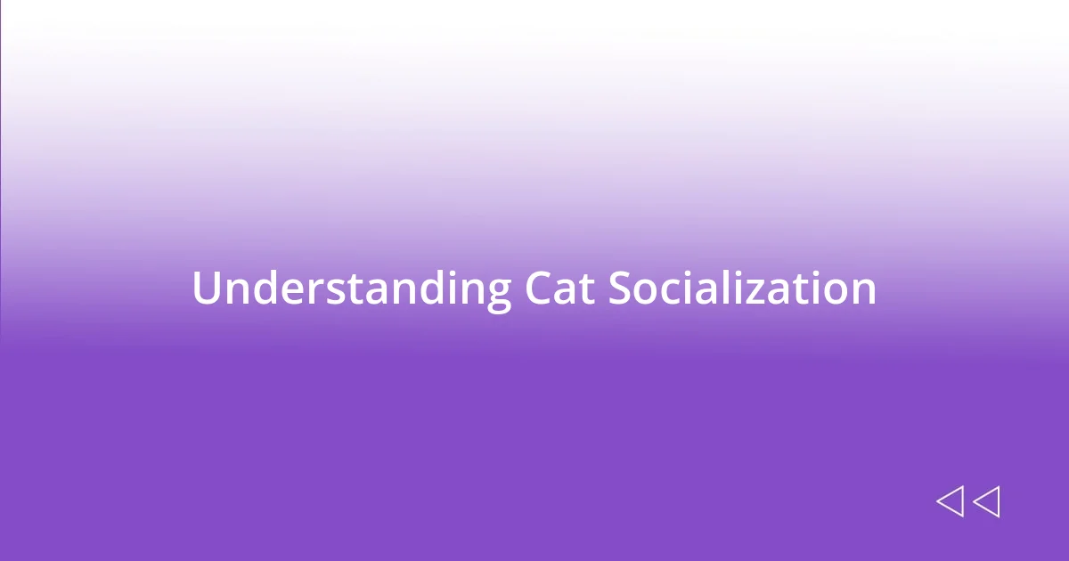 Understanding Cat Socialization