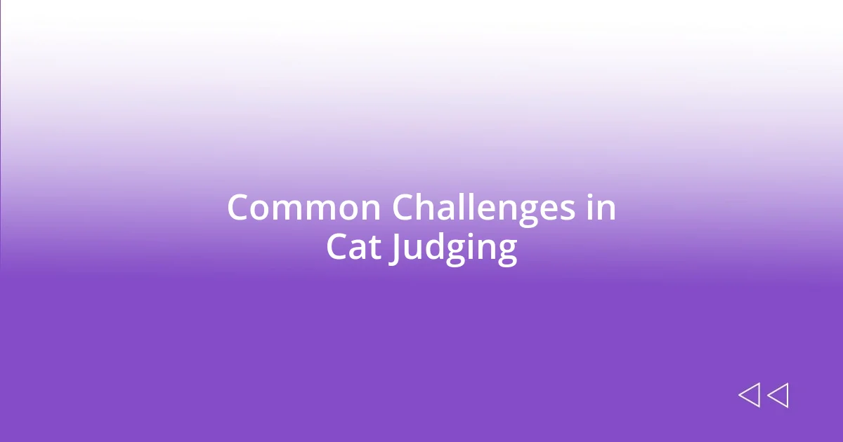 Common Challenges in Cat Judging