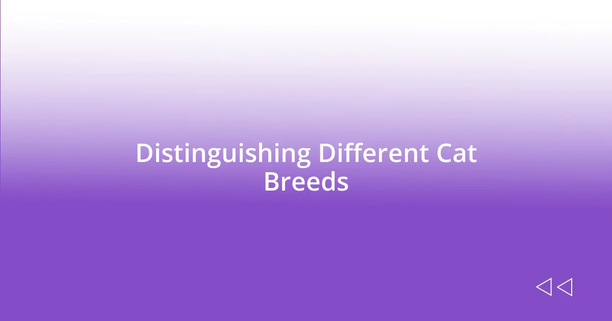 Distinguishing Different Cat Breeds