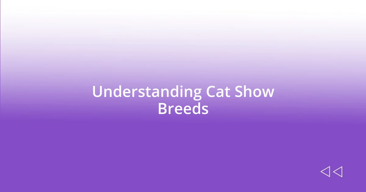 Understanding Cat Show Breeds