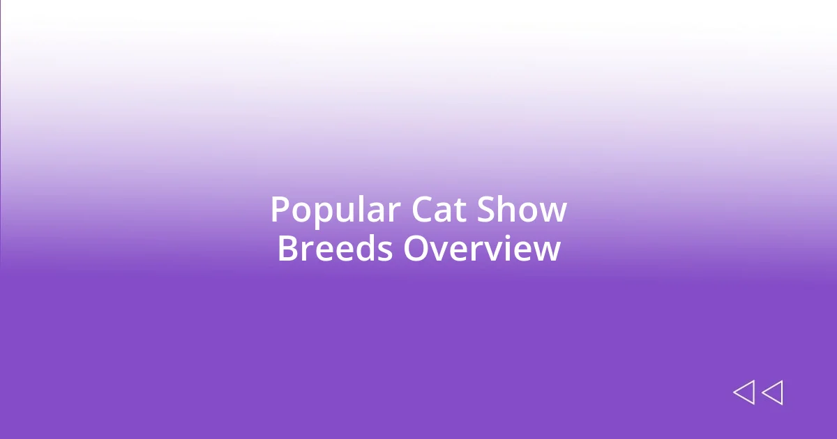 Popular Cat Show Breeds Overview