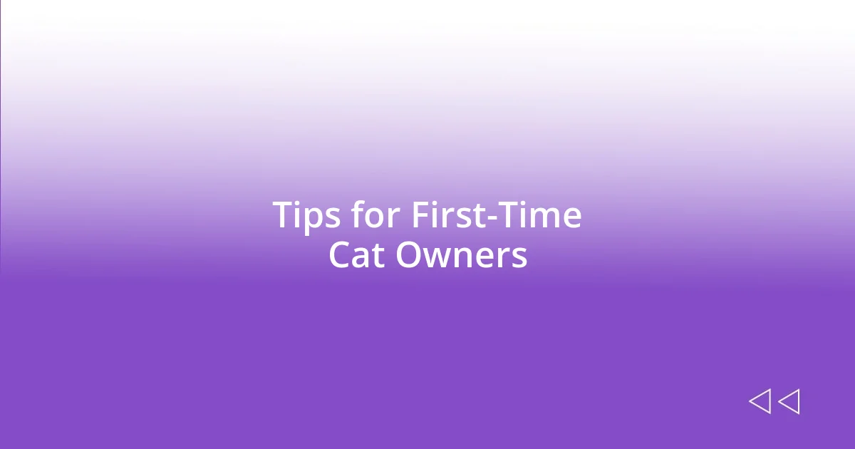 Tips for First-Time Cat Owners