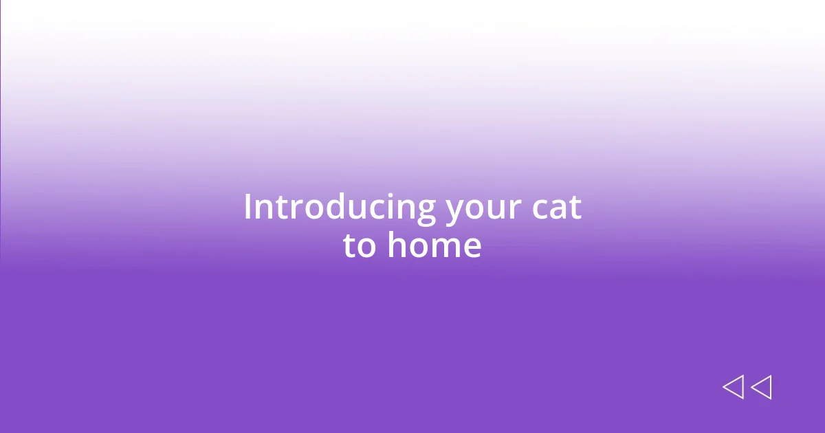 Introducing your cat to home