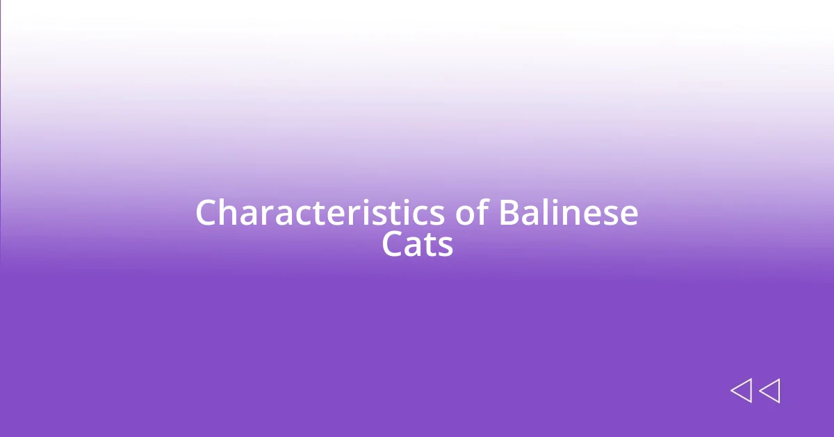 Characteristics of Balinese Cats