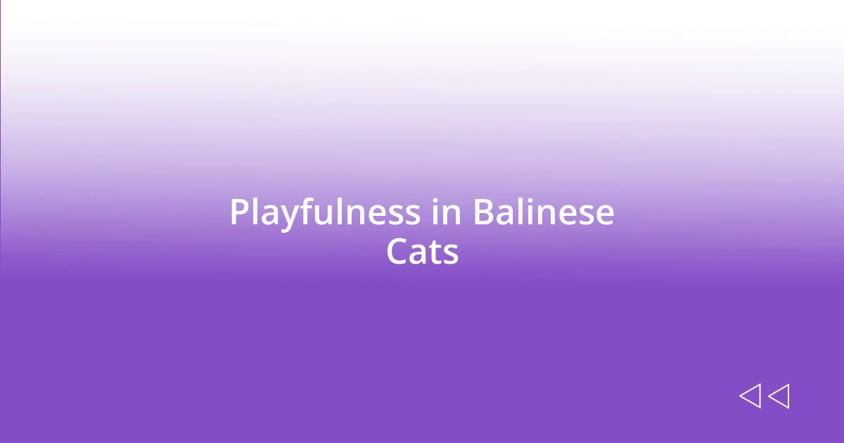 Playfulness in Balinese Cats