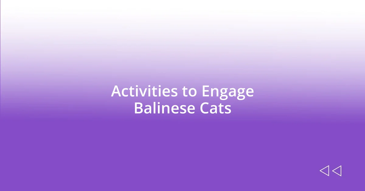 Activities to Engage Balinese Cats