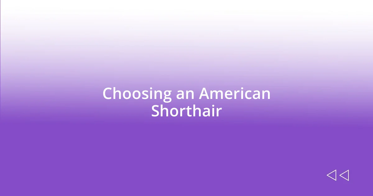 Choosing an American Shorthair