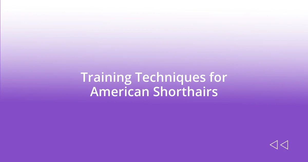 Training Techniques for American Shorthairs