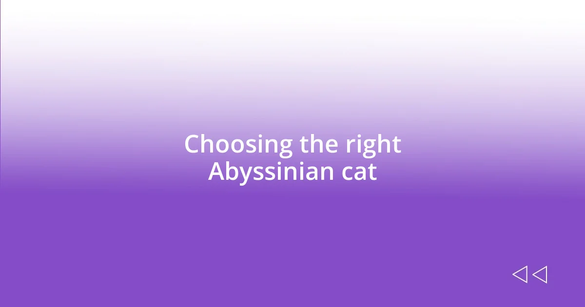 Choosing the right Abyssinian cat