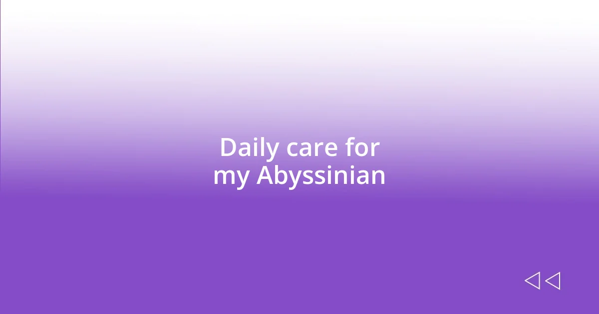 Daily care for my Abyssinian