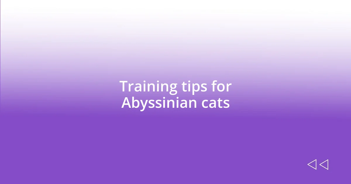 Training tips for Abyssinian cats