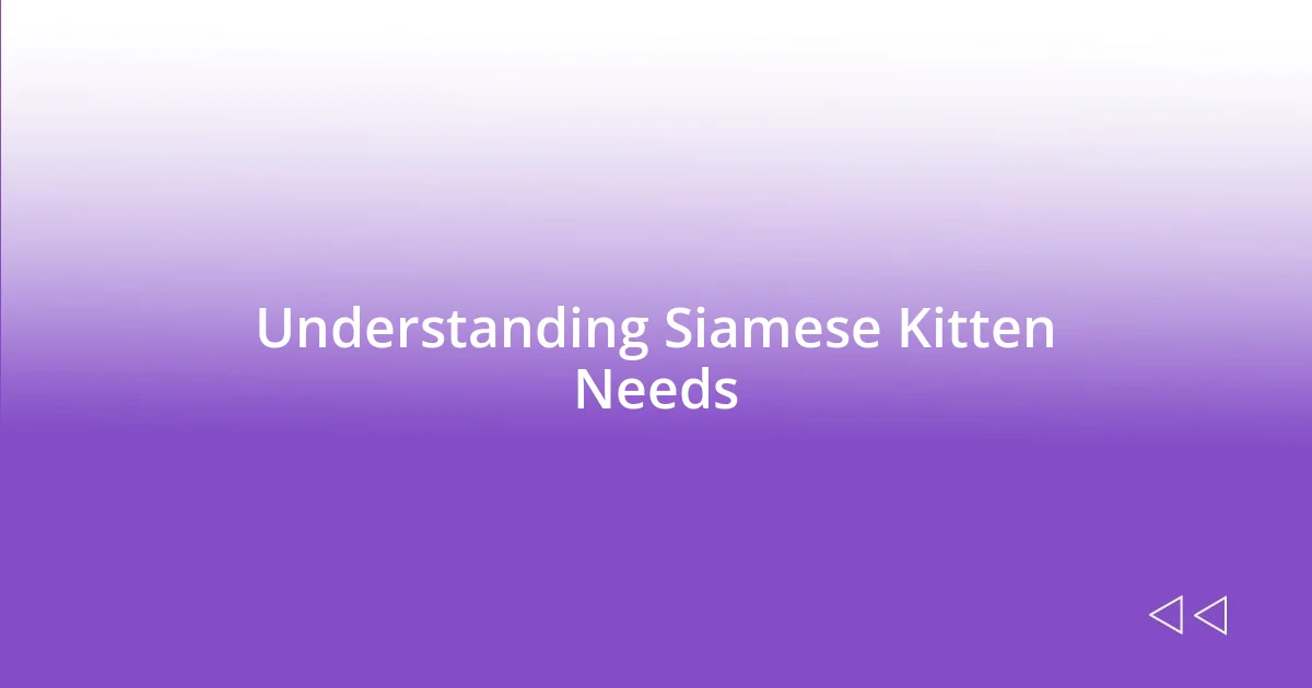 Understanding Siamese Kitten Needs