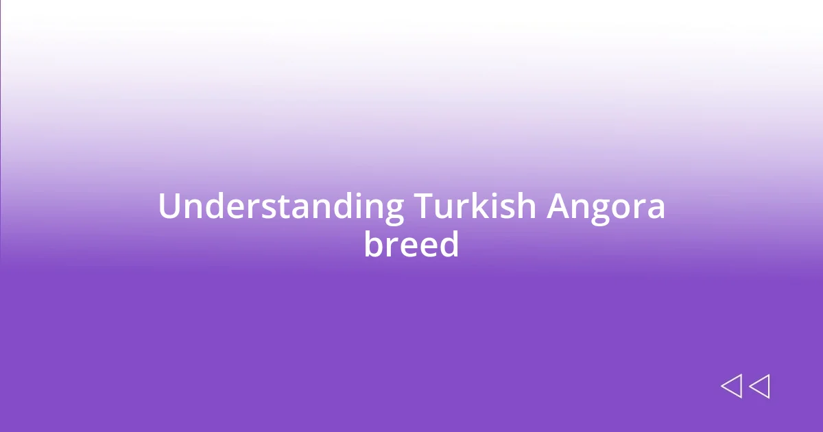 Understanding Turkish Angora breed