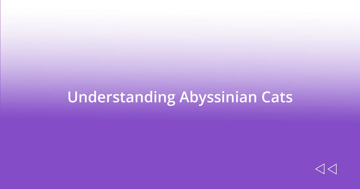 Understanding Abyssinian Cats