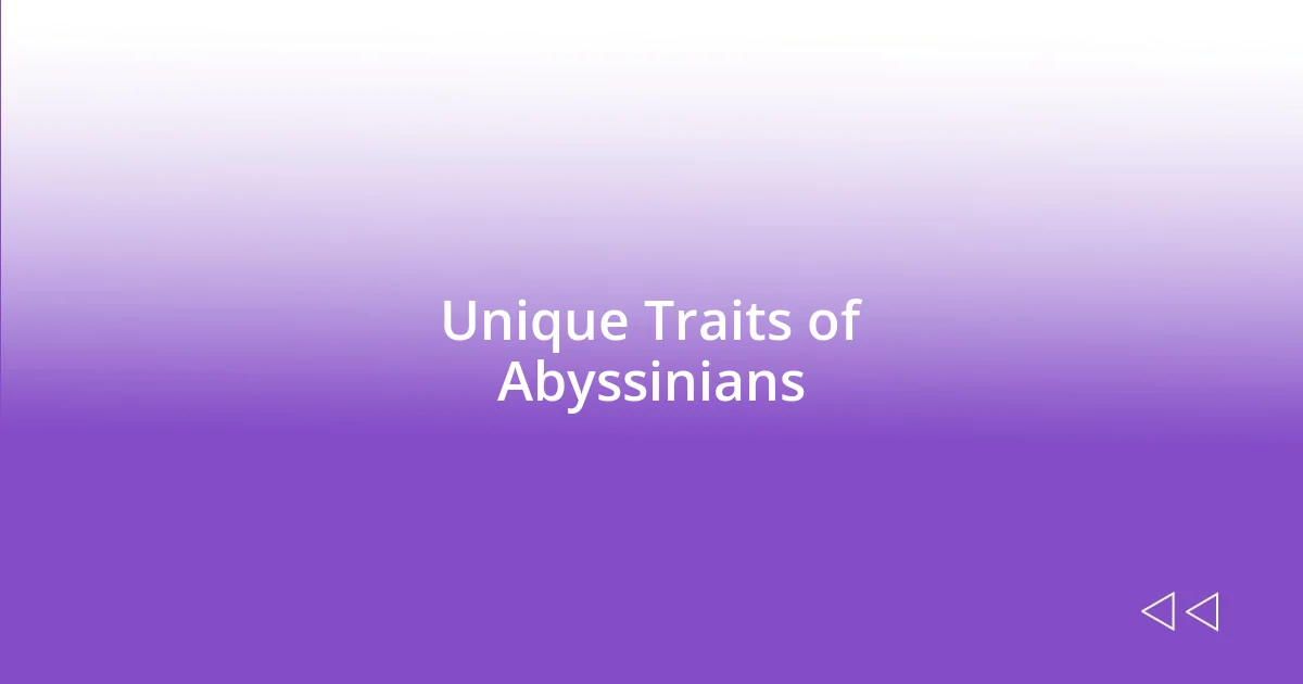 Unique Traits of Abyssinians