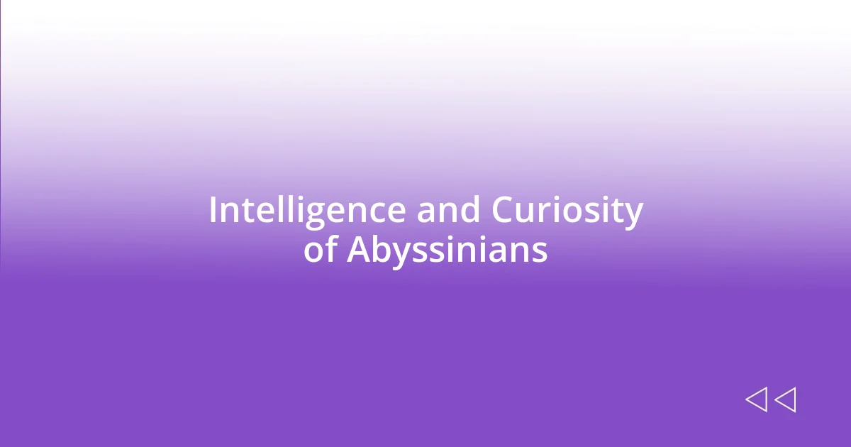 Intelligence and Curiosity of Abyssinians