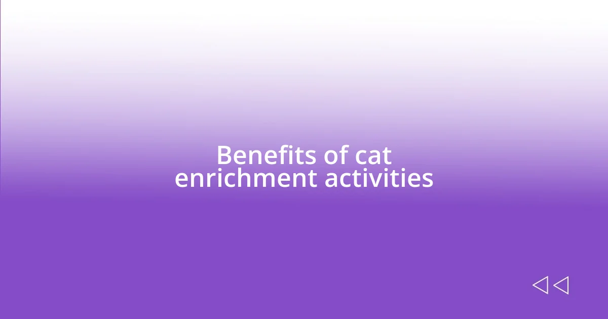 Benefits of cat enrichment activities