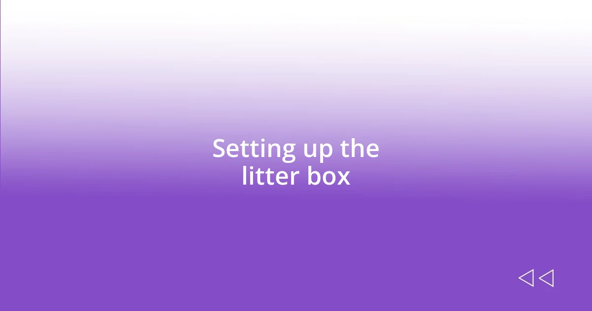 Setting up the litter box