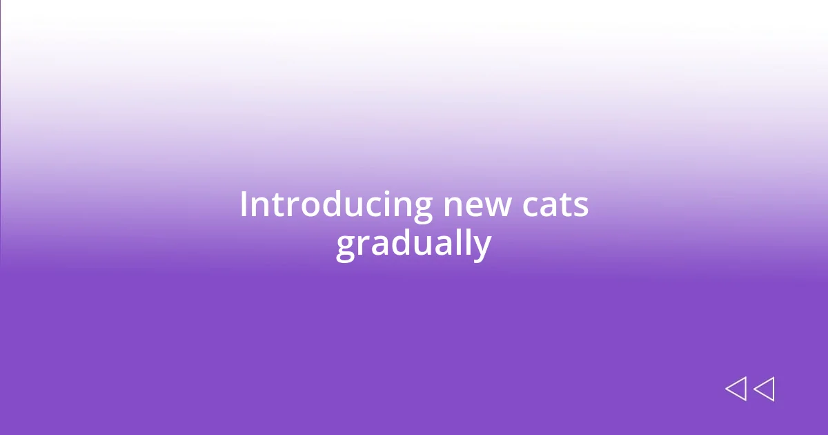 Introducing new cats gradually